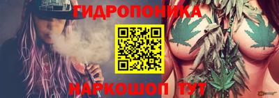 скорость Новозыбков
