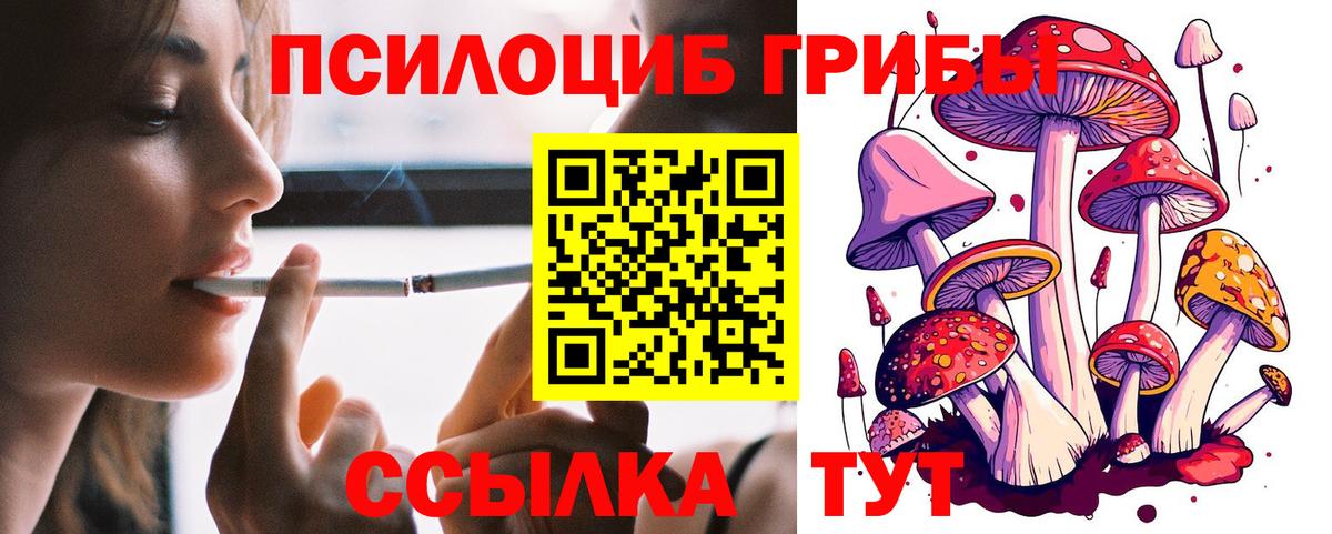 Псилоцибиновые грибы мухоморы Урюпинск