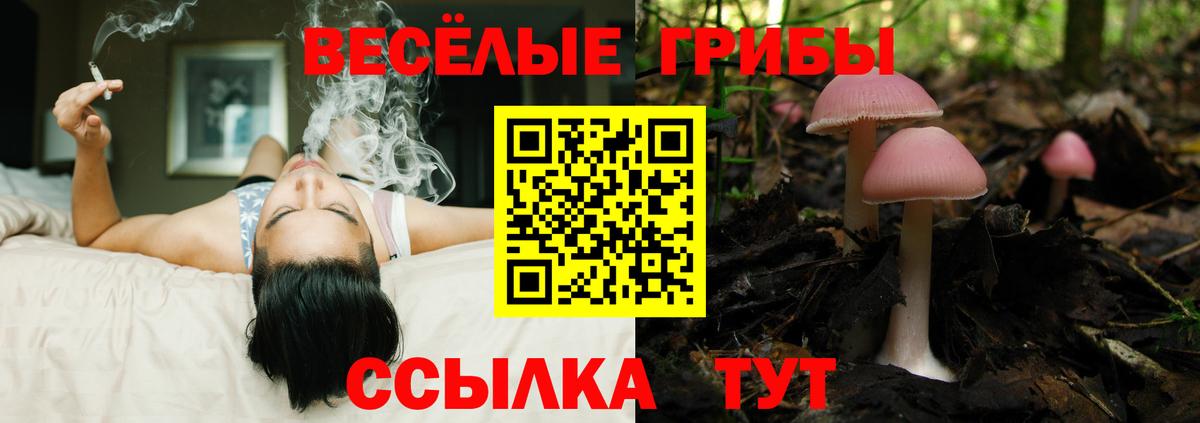 Урюпинск  купить  сайты  Вход с VPN  Псилоцибиновые грибы Magic Shrooms 